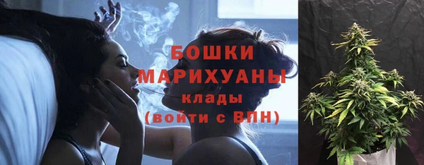 индика Вязники