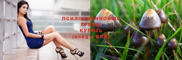индика Вязники