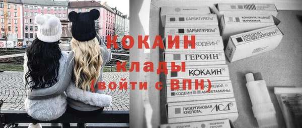 индика Вязники