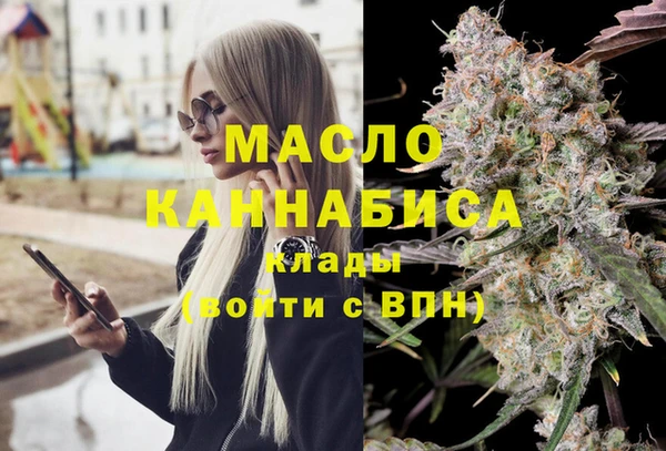 индика Вязники