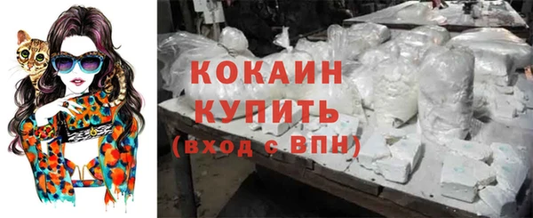ECSTASY Вяземский