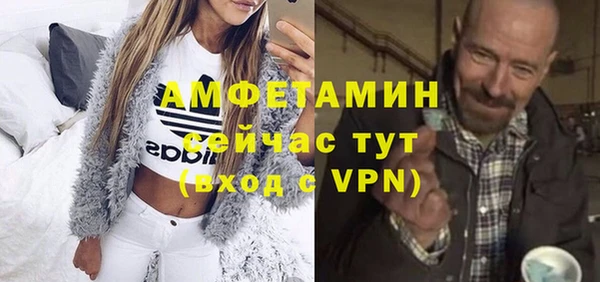 индика Вязники